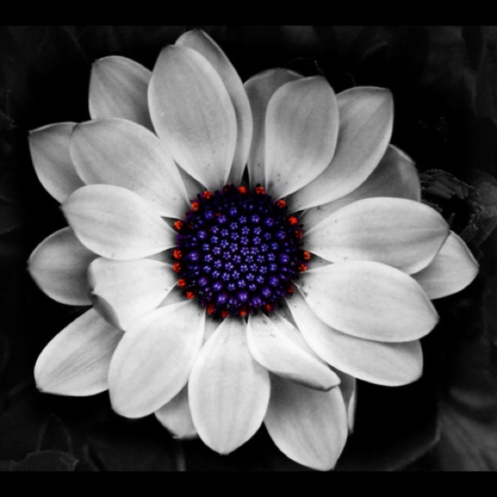 Meet your Posher, Gabriela